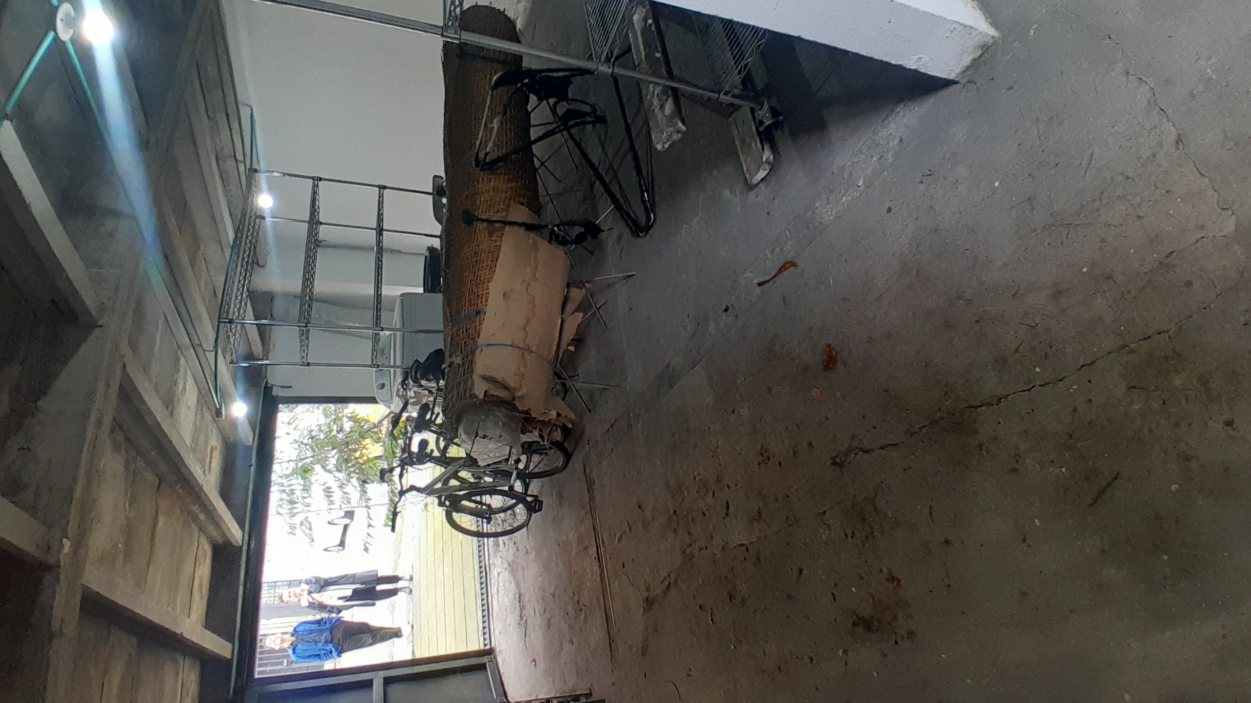 20260326_105949.jpg