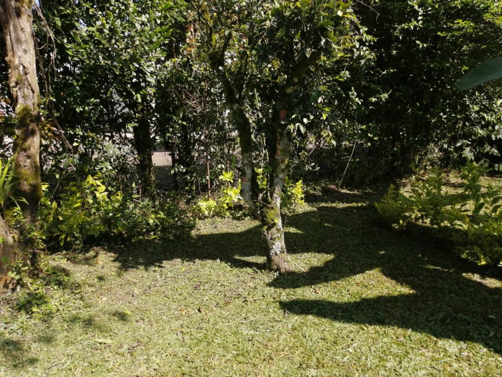 Imagen_2866391_10.jpg