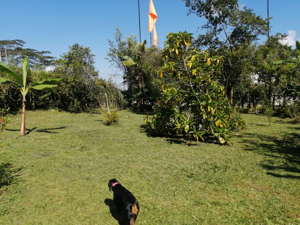 Imagen_2866391_3.jpg