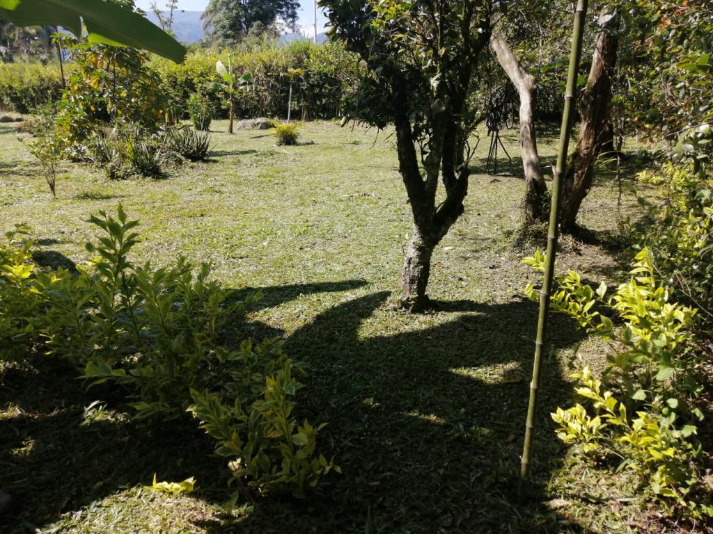Imagen_2866391_6.jpg