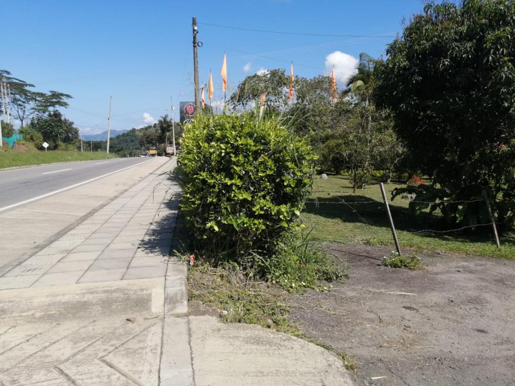 Imagen_2866391_8.jpg